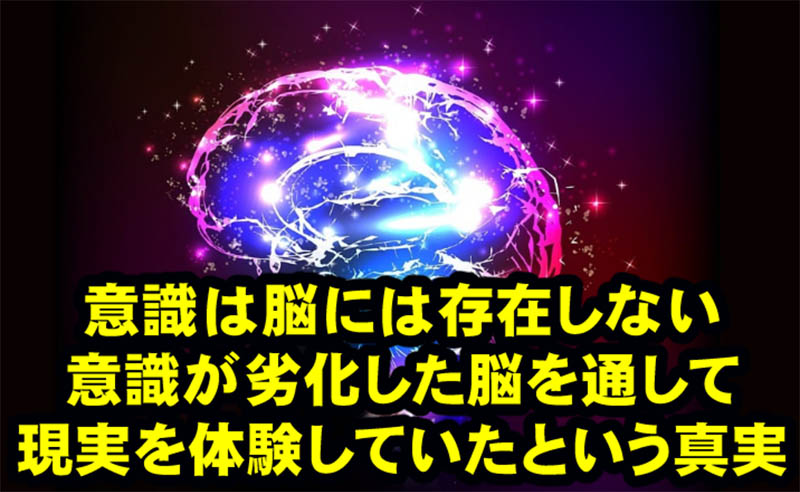 意識は脳に存在しない