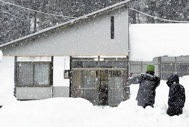 島民しないクマ