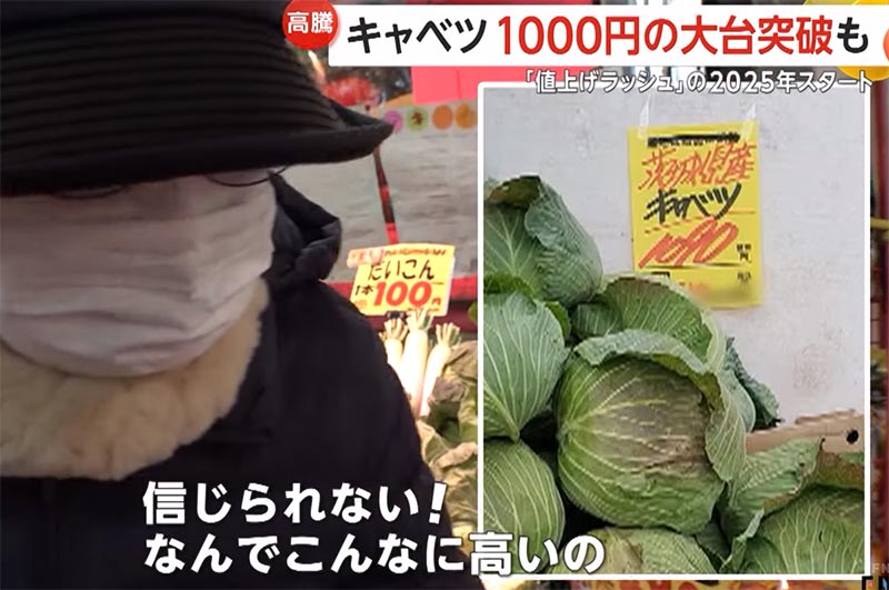 キャベツ1玉1000円と言う信じられない高さ